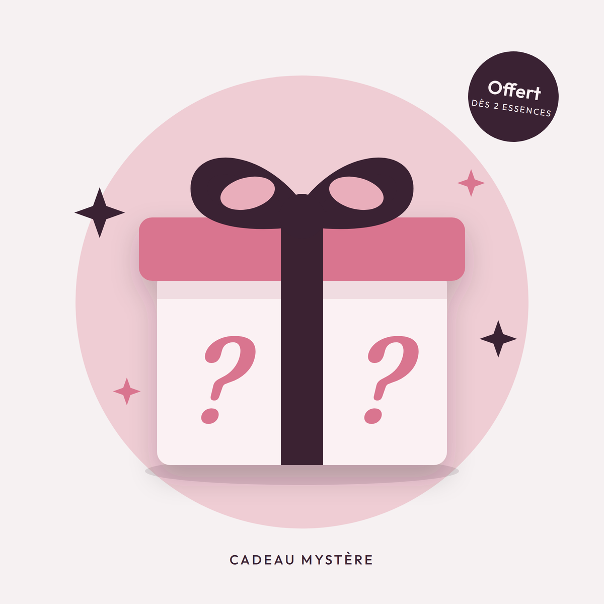 Cadeau mystère